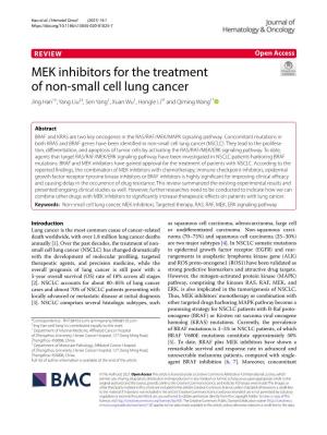 MEK Inhibitors for the Treatment of Non-Small Cell Lung Cancer