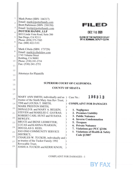 Pleading Form with 28 Lines