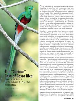 The “Curious” Case of Costa Rica