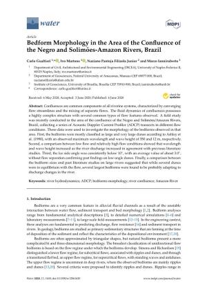 Bedform Morphology in the Area of the Confluence of the Negro And