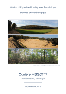Carrière MERLOT TP Et Paysages Environnants (ATHENA NATURE, 2014)