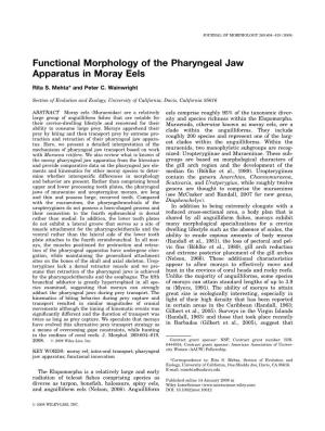 Functional Morphology of the Pharyngeal Jaw Apparatus in Moray Eels