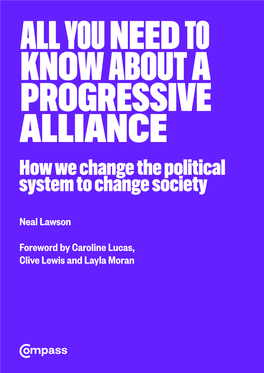How We Change the Political System to Change Society