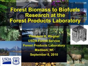 Forest Biomass to Biofuels Research at the Forest Products Laboratory