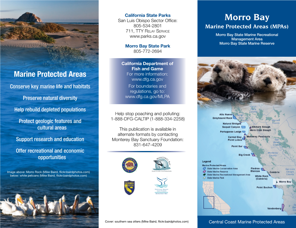 Morro Bay Brochure