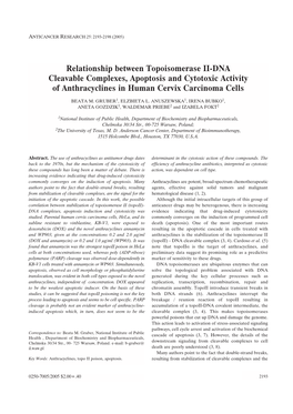 Relationship Between Topoisomerase II-DNA Cleavable Complexes, Apoptosis and Cytotoxic Activity of Anthracyclines in Human Cervix Carcinoma Cells