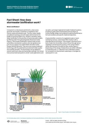 How Does Stormwater Biofiltration Work? | I