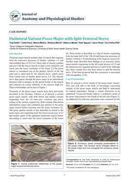 Unilateral Variant Psoas Major with Split Femoral Nerve