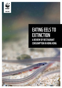 Eating Eels to Extinction a Review of Restaurant Consumption in Hong Kong