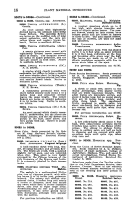 PLANT MATERIAL INTRODUCED 95078 to 95084—Continued