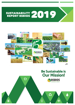 Relatório De Sustentabilidade BSBIOS 2019 Final