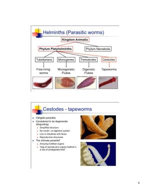 Helminths (Parasitic Worms) Cestodes