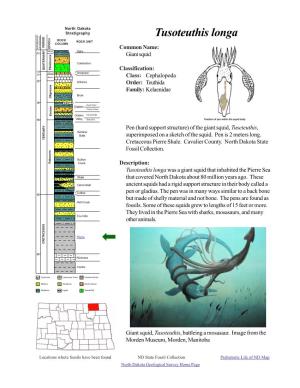 Tusoteuthis Longa ROCK ROCK UNIT COLUMN PERIOD EPOCH AGES MILLIONS of YEARS AGO Common Name: Holocene Oahe .01 Giant Squid