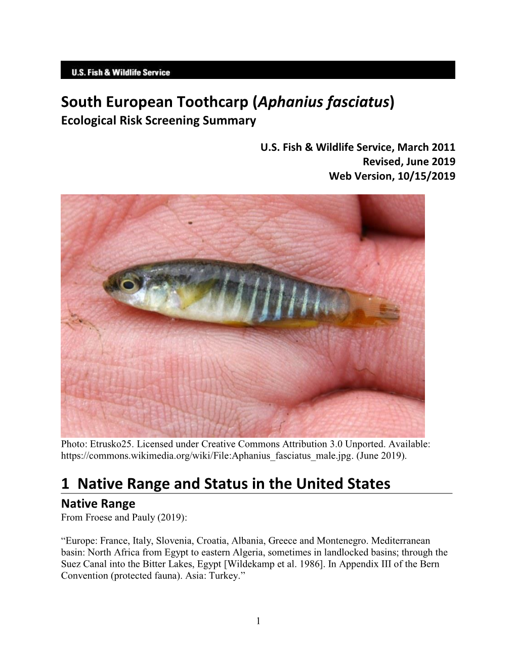 Aphanius Fasciatus) Ecological Risk Screening Summary