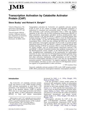 Transcription Activation by Catabolite Activator Protein (CAP)