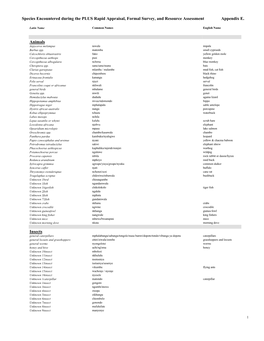 Species Encountered During the PLUS Rapid Appraisal, Formal Survey, and Resource Assessment Appendix E. Animals Insects