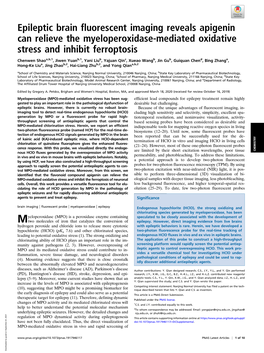 Epileptic Brain Fluorescent Imaging Reveals Apigenin Can Relieve the Myeloperoxidase-Mediated Oxidative Stress and Inhibit Ferroptosis