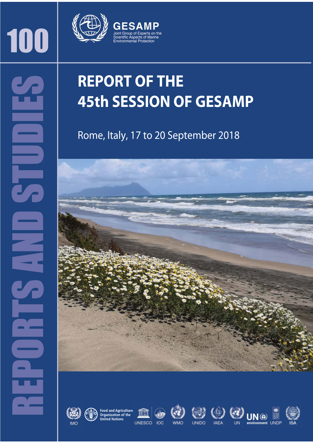 Report of the 45Th Session of GESAMP, Rome, Italy, 17-20 September 2018