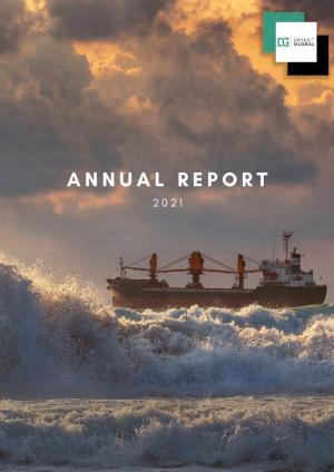 Dryad Global Annual Report 2021