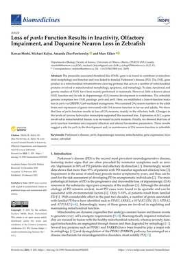 Loss of Parla Function Results in Inactivity, Olfactory Impairment, and Dopamine Neuron Loss in Zebraﬁsh