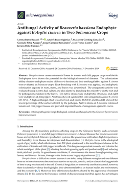 Antifungal Activity of Beauveria Bassiana Endophyte Against Botrytis Cinerea in Two Solanaceae Crops