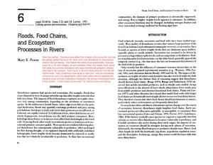 And Ecosystem Processes in Rivers 53
