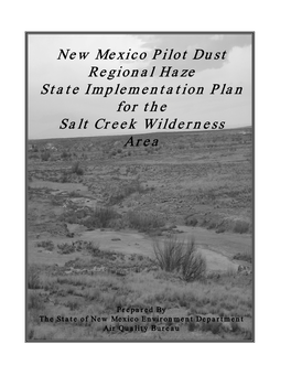 New Mexico Pilot Dust Regional Haze State Implementation Plan for the Salt Creek Wilderness Area