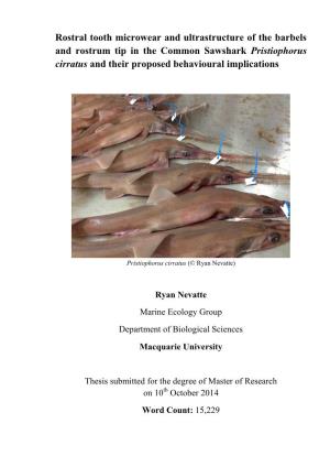Rostral Tooth Microwear and Ultrastructure of the Barbels and Rostrum Tip in the Common Sawshark Pristiophorus Cirratus and Their Proposed Behavioural Implications