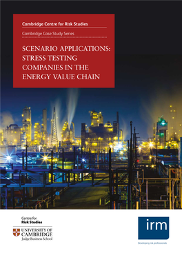 SCENARIO APPLICATIONS: STRESS TESTING COMPANIES in the ENERGY VALUE CHAIN Acknowledgements