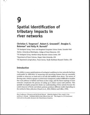 Spatial Identification of Tributary Impacts in River Networks