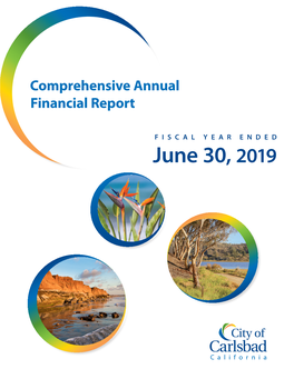 Comprehensive Annual Financial Report 2019