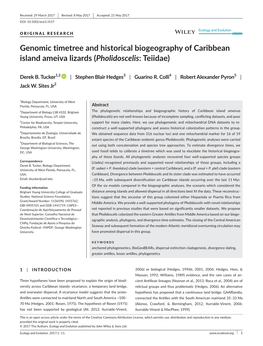 Genomic Timetree and Historical Biogeography of Caribbean Island Ameiva Lizards (Pholidoscelis: Teiidae)