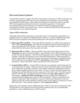 RNA and Protein Synthesis