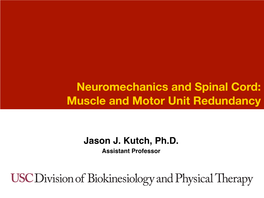 Neuromechanics and Spinal Cord: Muscle and Motor Unit Redundancy