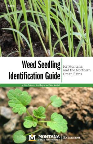 Weed Seedling Identification Guide This Guide Is Not a Complete List of All the Weeds to Be Found in Croplands Or Rangelands