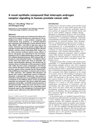 A Novel Synthetic Compound That Interrupts Androgen Receptor Signaling in Human Prostate Cancer Cells