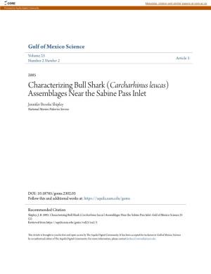 Characterizing Bull Shark (Carcharhinus Leucas) Assemblages Near the Sabine Pass Inlet Jennifer Brooke Shipley National Marine Fisheries Service