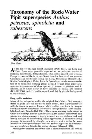 Taxonomy of the Rock/Water Pipit Superspecies Anthus Petrosus, Spinoletta and Rubescens