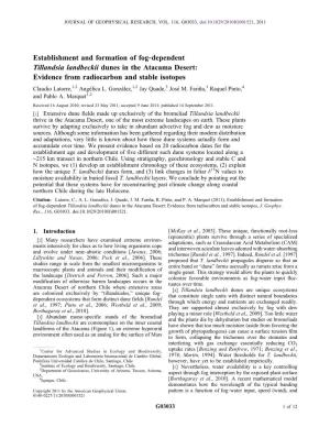 Establishment and Formation of Fog‐Dependent Tillandsia Landbeckii