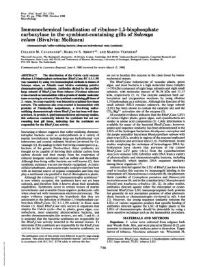 Velum (Bivalvia: Mollusca) (Chemoautotroph/Sulfur-Oxidizing Bacteria/Deep-Sea Hydrothermal Vents/Symbiosis) COLLEEN M