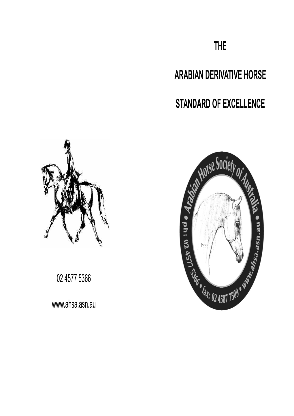 The Arabian Derivative Horse Standard of Excellence