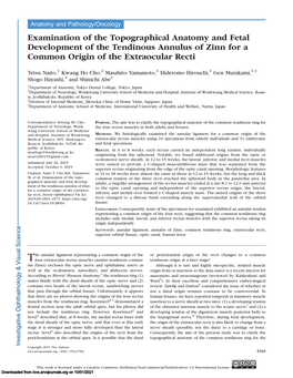 Examination of the Topographical Anatomy and Fetal Development of the Tendinous Annulus of Zinn for a Common Origin of the Extraocular Recti
