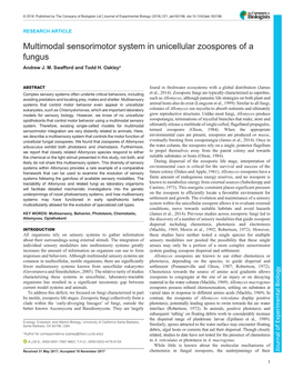 Multimodal Sensorimotor System in Unicellular Zoospores of a Fungus Andrew J