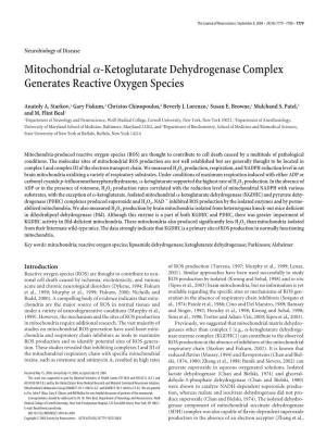 Mitochondrialα-Ketoglutarate Dehydrogenase Complex