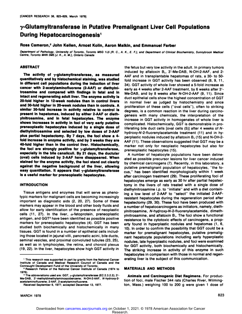 Y-Glutamyltransferase in Putative Premalignant Liver Cell Populations During Hepatocarcinogenesis1