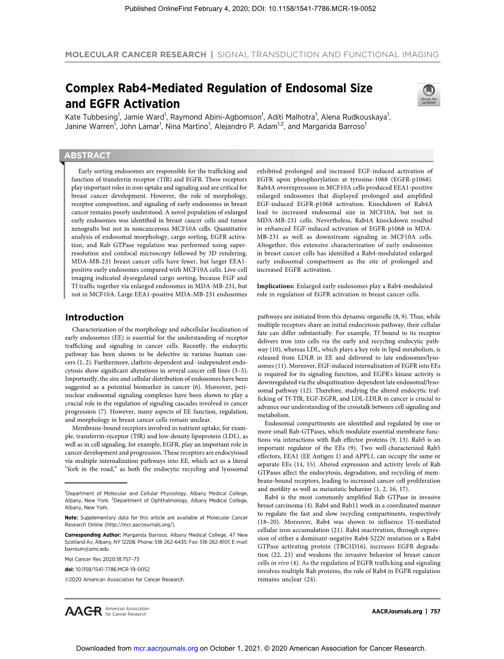 Complex Rab4-Mediated Regulation of Endosomal Size and EGFR Activation