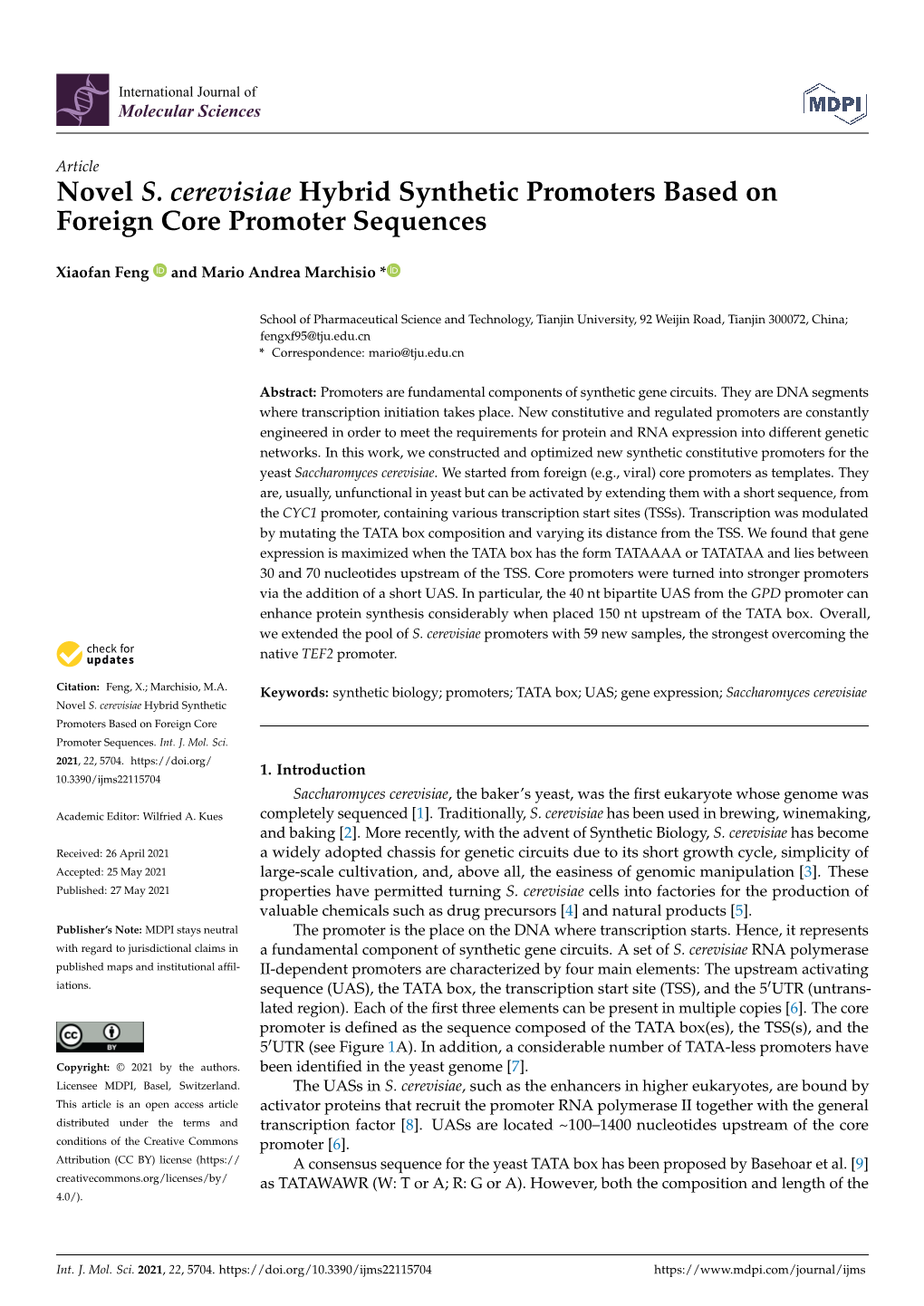 Novel S. Cerevisiae Hybrid Synthetic Promoters Based on Foreign Core Promoter Sequences