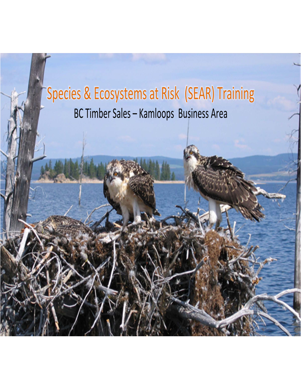 Species & Ecosystems at Risk (SEAR) Training