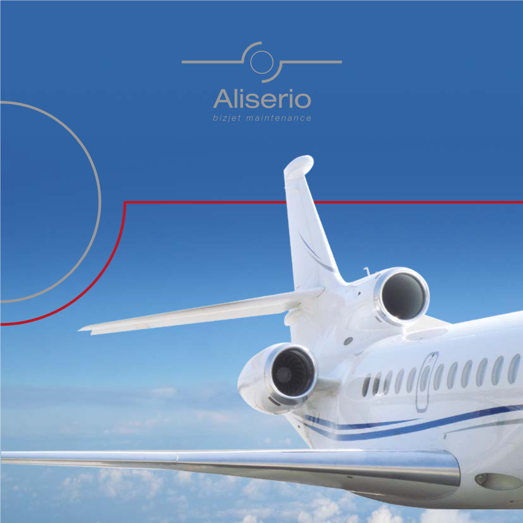 PDF-Brochure-Aliserio.Pdf