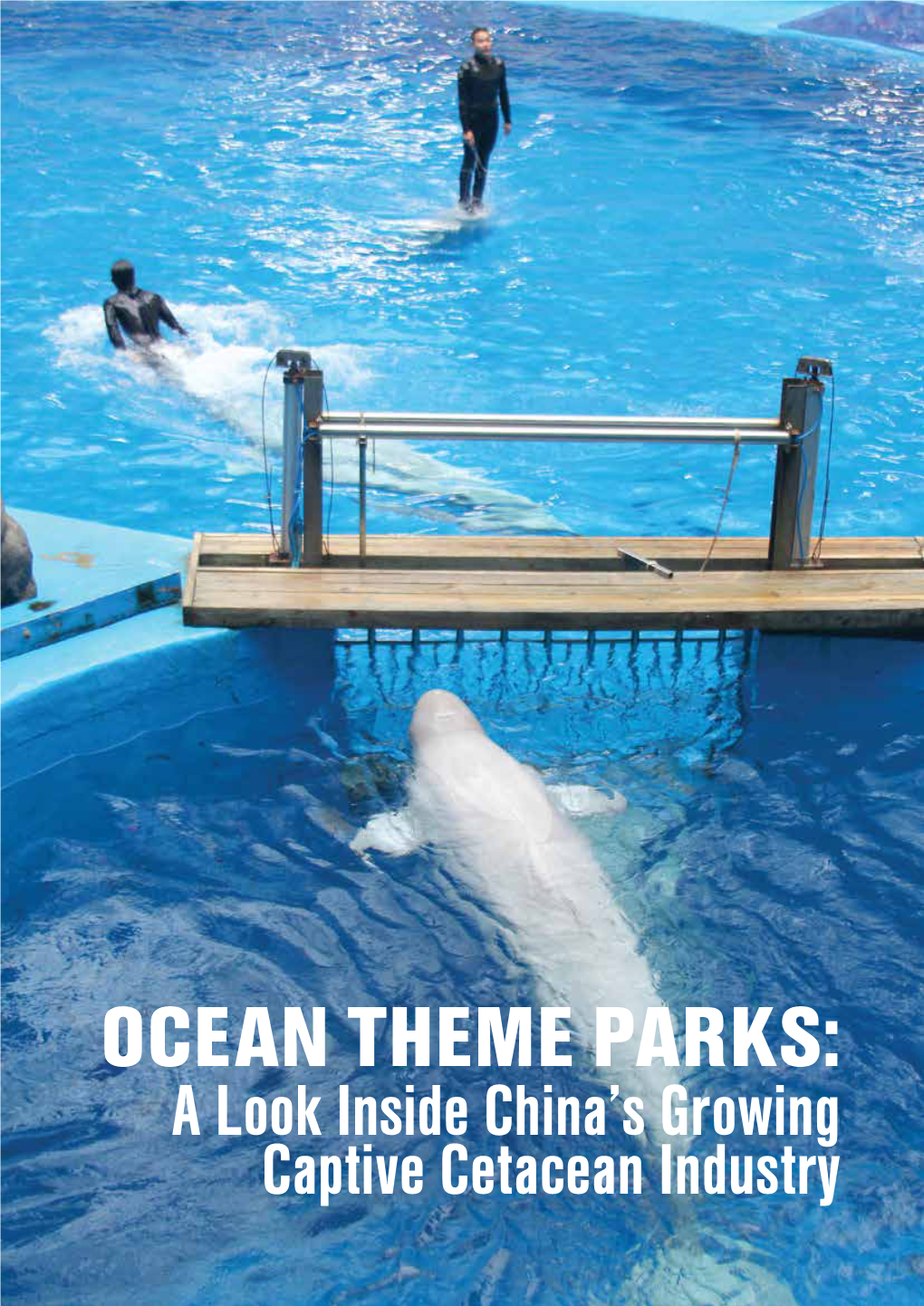 Ocean Theme Parks